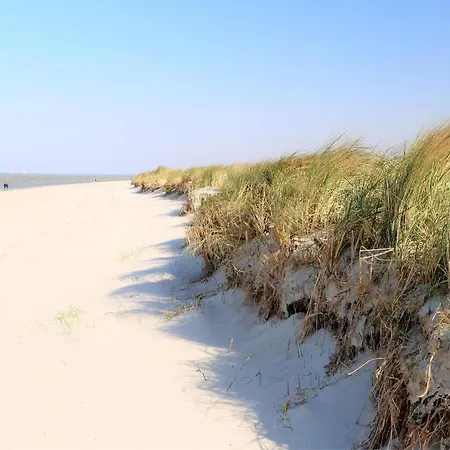 48 1 N Waterkant Schillig