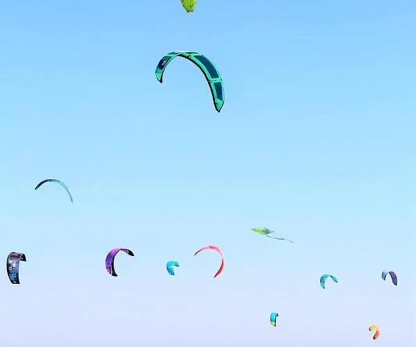 48 1 N Waterkant 아파트